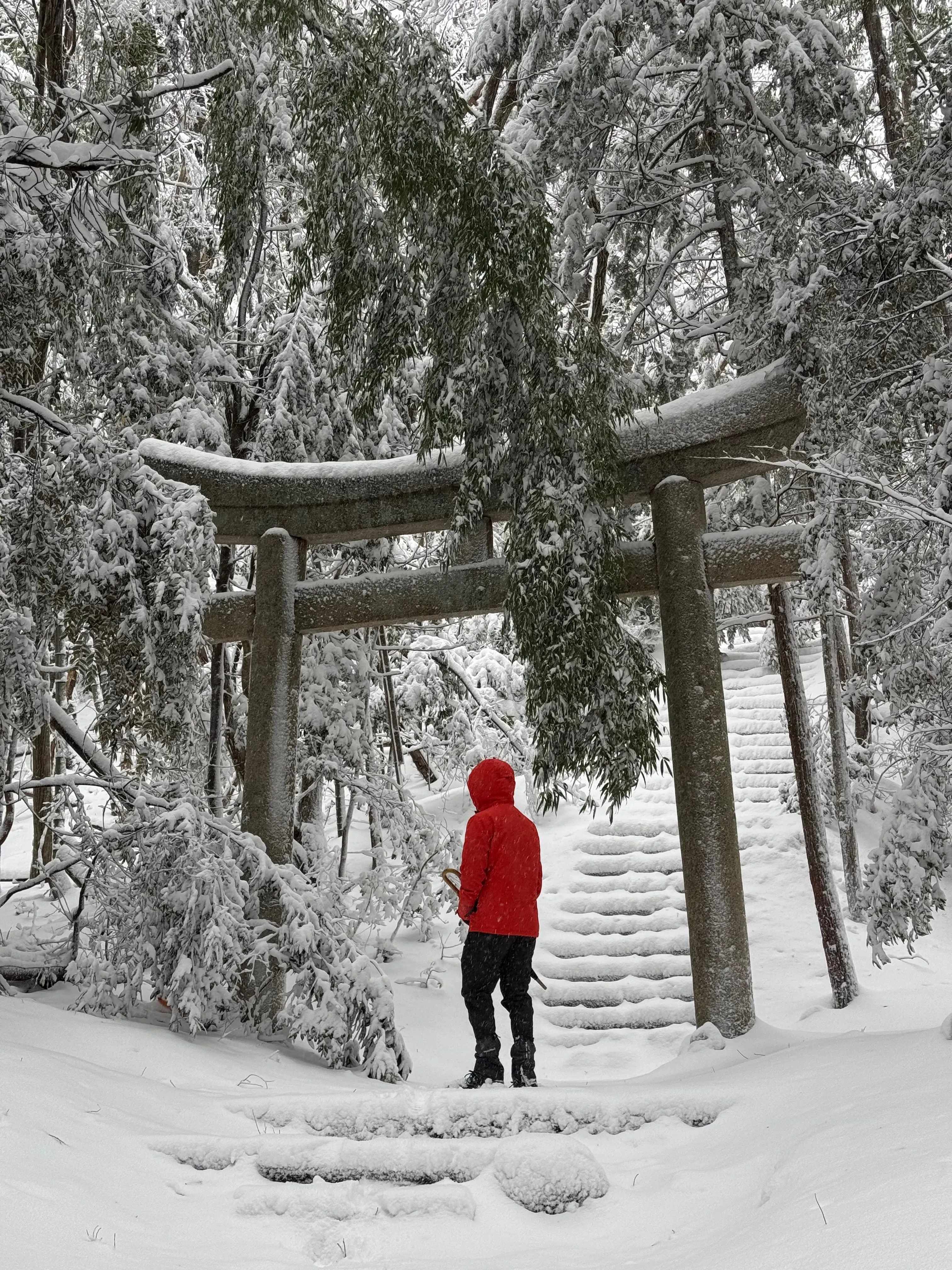 ‘Maizuru, photo 1’